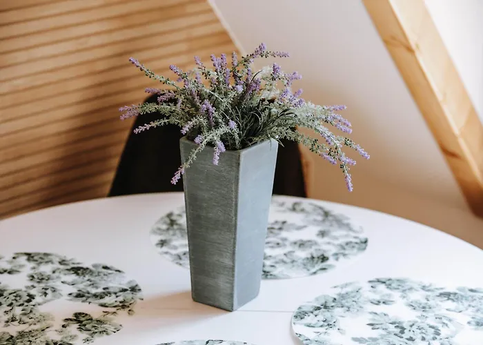 アパート Z Widokiem ザコパネ